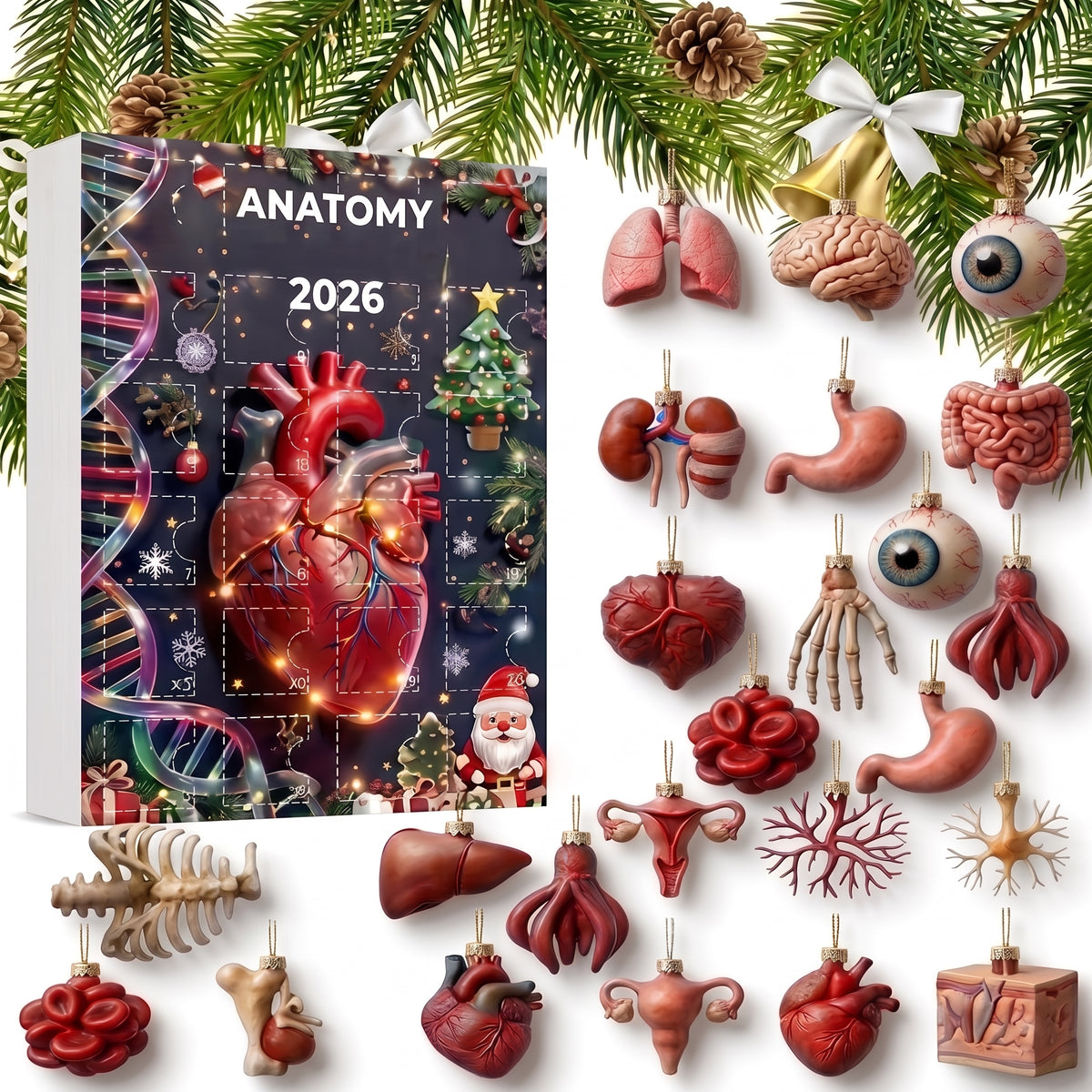 Calendario de Adviento de Anatomía