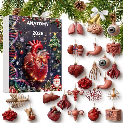 Calendario de Adviento de Anatomía